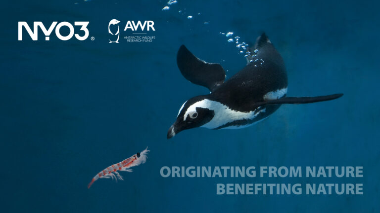 NYO3 Follows the Sustainable Fishing Principle and Work with AWR to Protect the Ecological Vitality of Antarctic Oceans