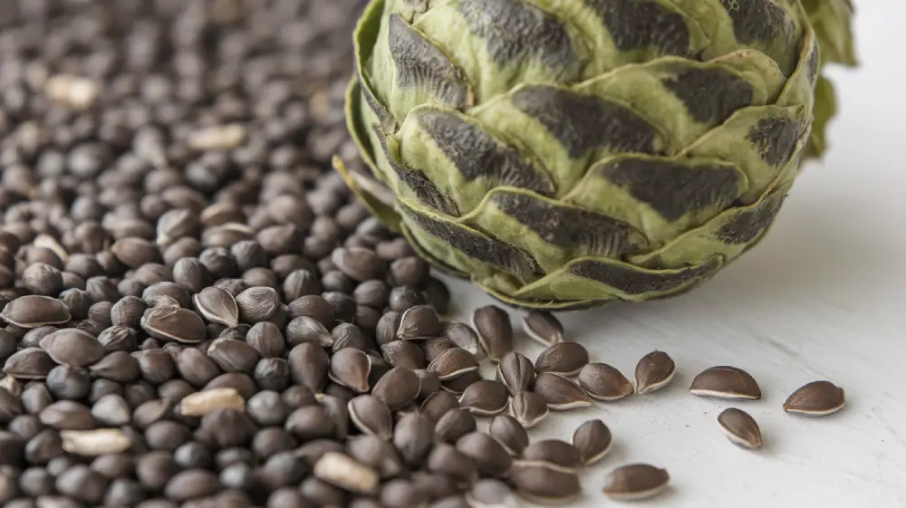 Anti-inflammatory Properties of Milk Thistle