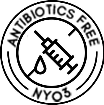 ANTIBIOTICS-FREE-Icon