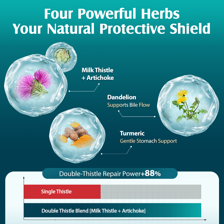 400护肝2 400护肝2