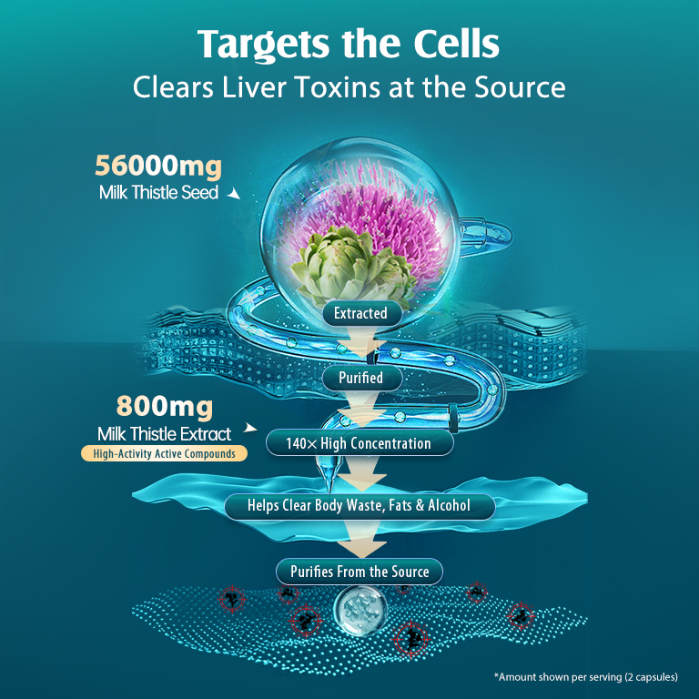 400护肝3 400护肝3
