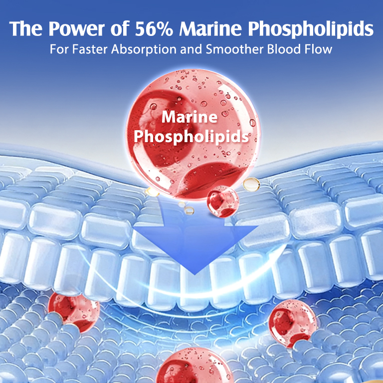 独立站阿蒙森磷虾油1 独立站阿蒙森磷虾油1